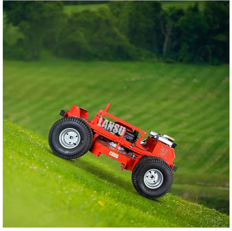 ls600-L4_06