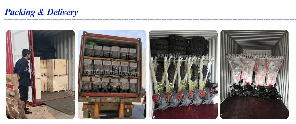 LS-15-1807 LS-15-1807