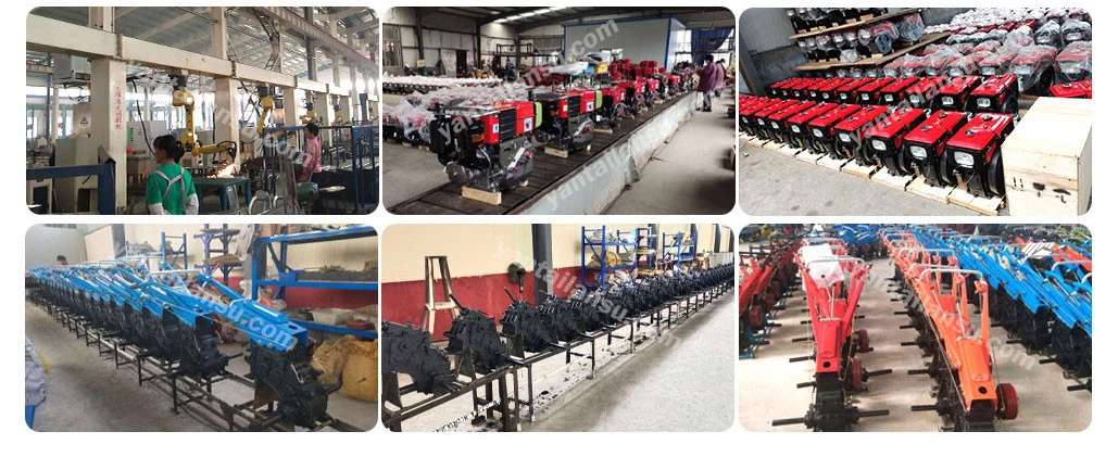 LS-15-1806 LS-15-1806