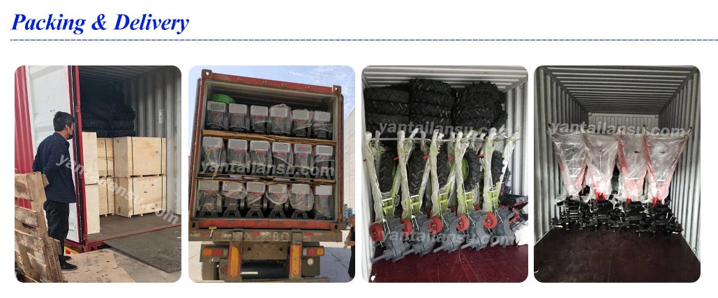 LS-15-1807 LS-15-1807