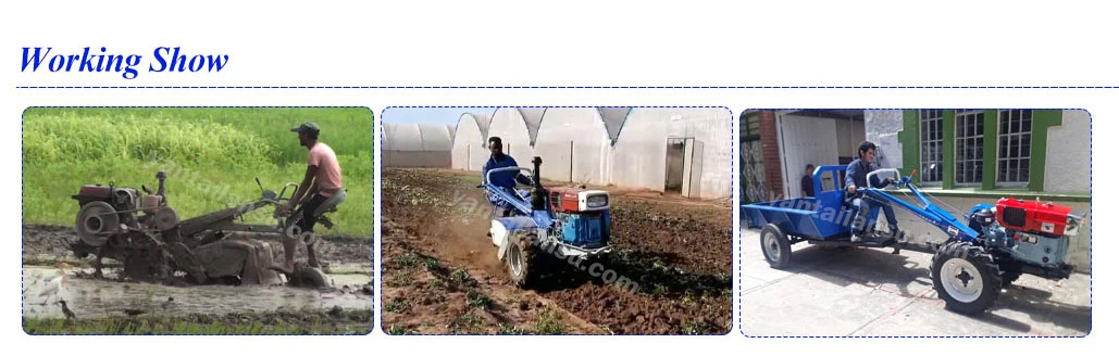 LS-15-1804 LS-15-1804