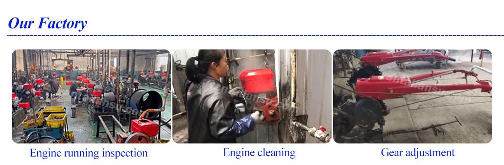 LS-15-1805 LS-15-1805