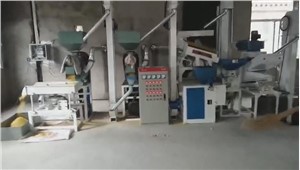 Rice Production Line