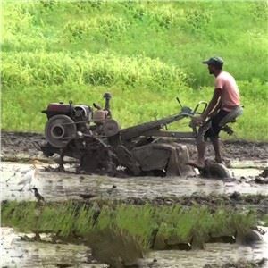 15hp 20hp Diesel Engine Walking Tractor With Tiller Walking Tractor Two Wheel To India